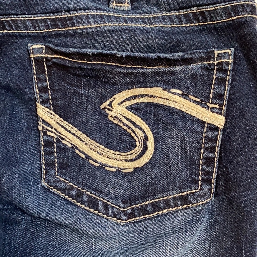 Silver Capris - image 4